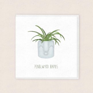 Welsh Birthday Card Carden Penblwydd Cymraeg Plant Lover